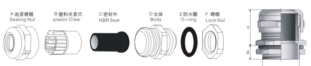 Marine Cable Gland manufacturer_Longer Thread Brass Cable Gland drawing